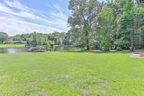 A home in Chapin