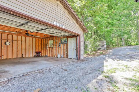 A home in Chapin