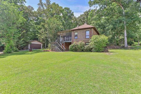 A home in Chapin