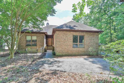 A home in Chapin