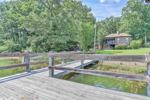 A home in Chapin