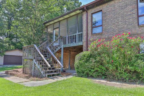 A home in Chapin