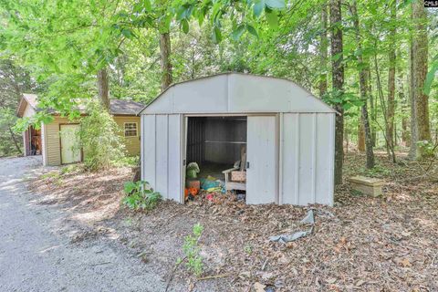 A home in Chapin