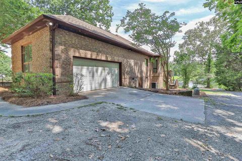 A home in Chapin