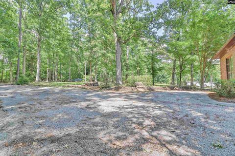 A home in Chapin