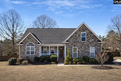 Photo of 243 Haigs Creek Crk N, Elgin, SC 29045 (MLS # 629519)