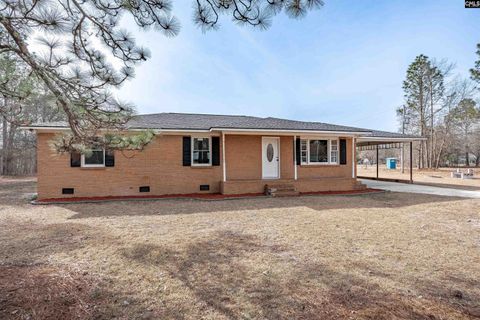 Photo of 140 Dacus Lane, Lexington, SC 29170 (MLS # 626114)