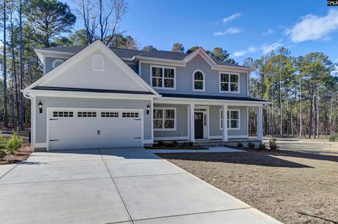 Photo of 111 Greengarden Drive, Chapin, SC 29036 (MLS # 627966)