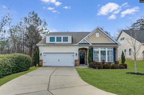 Photo of 301 Explorer Drive, Chapin, SC 29036 (MLS # 626514)