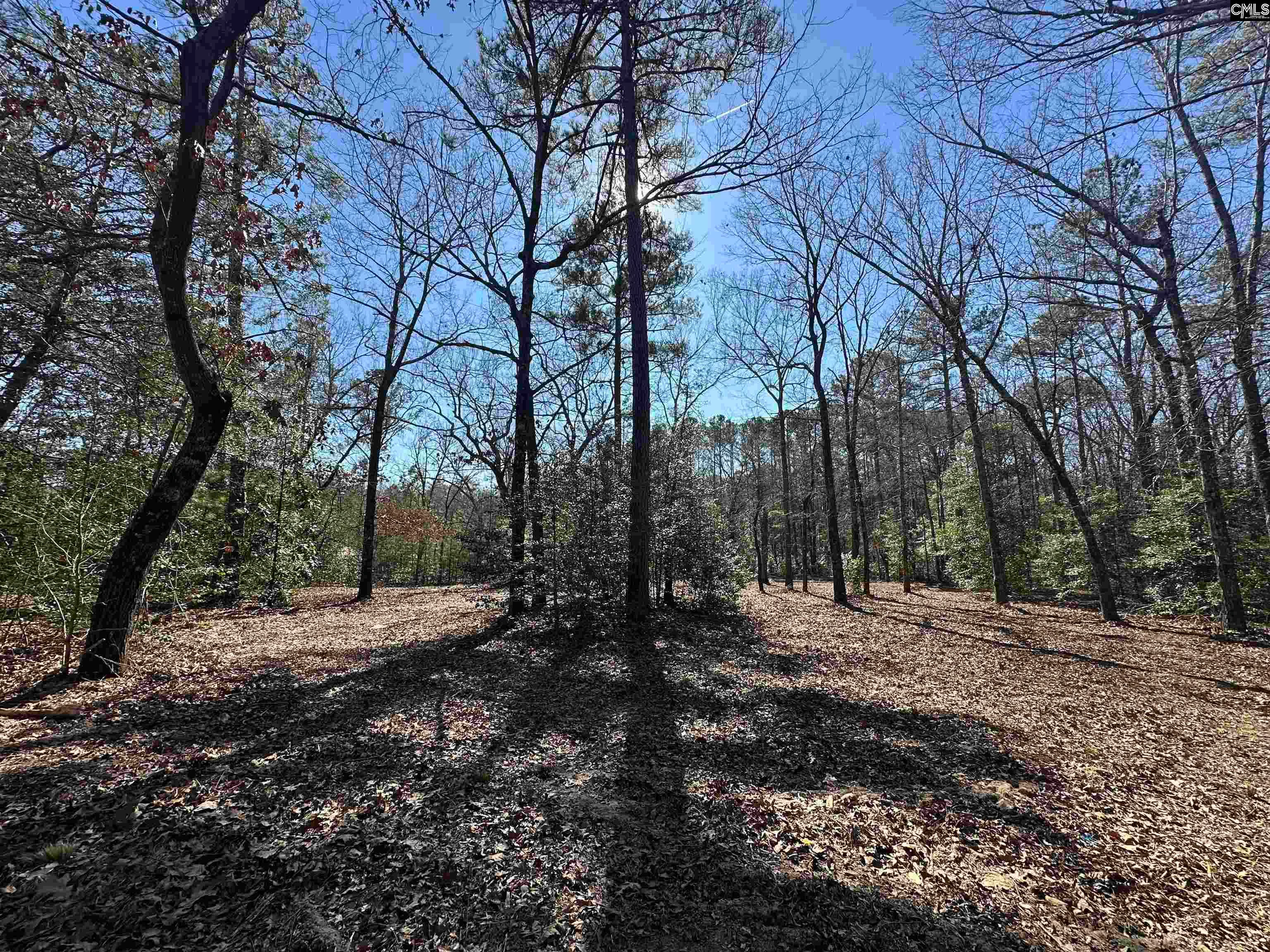622 Juniper Springs Road