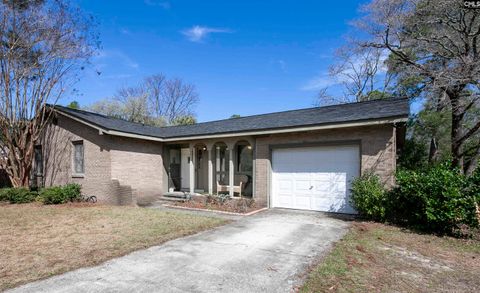 Photo of 505 Humble Drive, Columbia, SC 29223 (MLS # 628792)