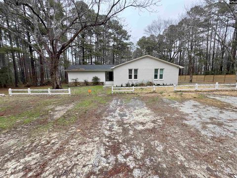 Photo of 1071 Elgin Road, Elgin, SC 29045 (MLS # 626315)