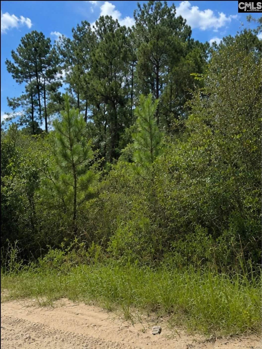 104 Antlers Way, Georgetown, SC, 29440