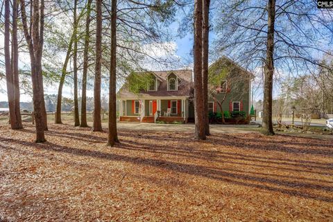 Photo of 316 Daniel Padgett Road, Monetta, SC 29129 (MLS # 623081)