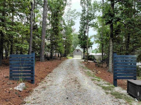 A home in Chapin