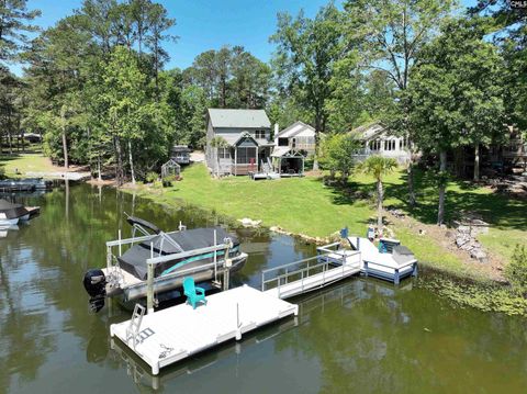 A home in Chapin