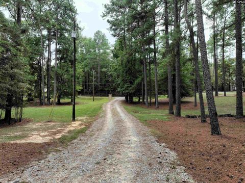 A home in Chapin