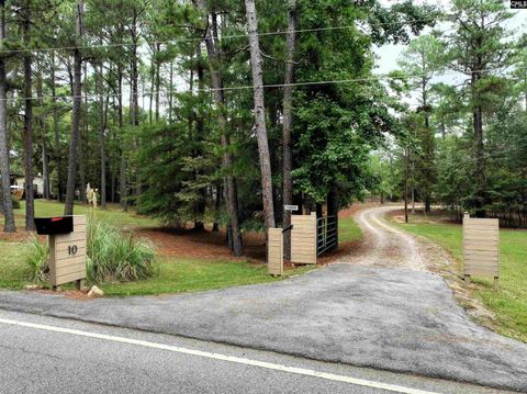 A home in Chapin