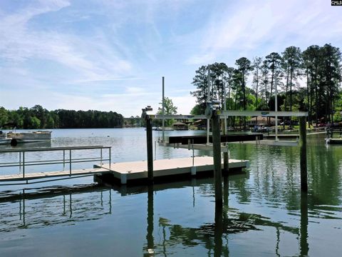 A home in Chapin