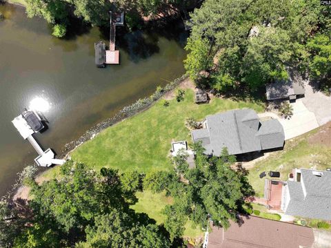 A home in Chapin