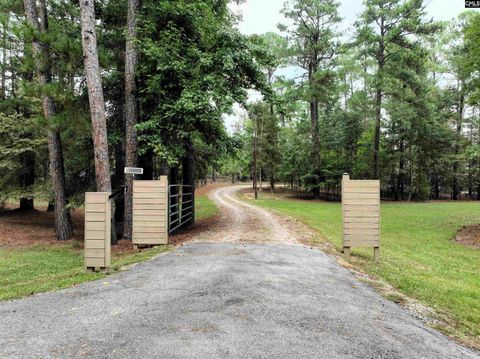 A home in Chapin