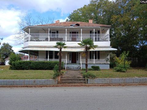 Photo of 215 S Palmer St, Ridgeway, SC 29130 (MLS # 621281)