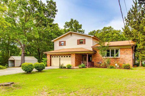 Photo of 140 WAYNE MCCAW Road, Irmo, SC 29063 (MLS # 634157)