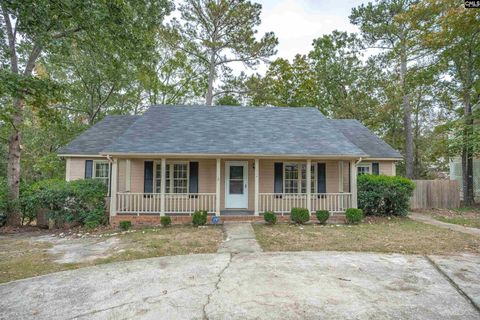 Photo of 114 Riverwalk Way, Irmo, SC 29063 (MLS # 618551)