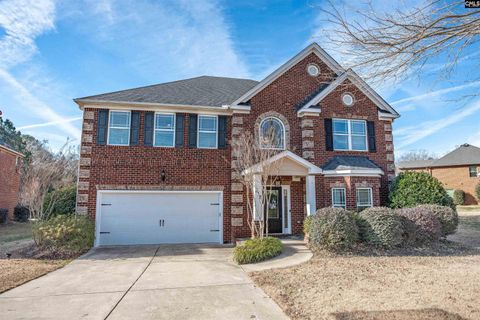 Photo of 812 Village Well Ct, Chapin, SC 29036 (MLS # 627164)