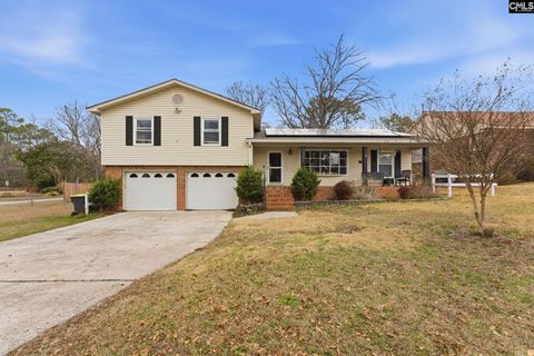 Photo of 301 Duchess Trail Trl, Lexington, SC 29073 (MLS # 627825)