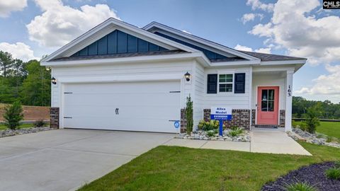 Photo of 163 Livingston Woods Drive, Irmo, SC 29063 (MLS # 618479)