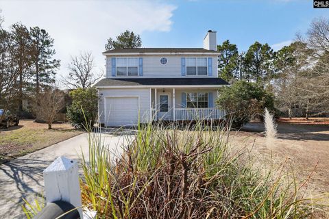 Photo of 214 Woodlands Village Drive, Columbia, SC 29229 (MLS # 627179)