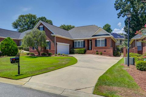 Photo of 13 Morning Breeze Court, Chapin, SC 29036 (MLS # 621207)