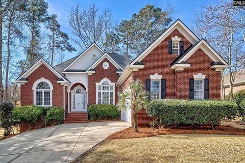 Photo of 433 Oxenbridge Way, Chapin, SC 29036 (MLS # 628868)