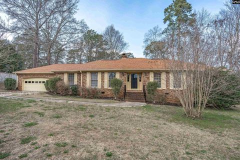 Photo of 405 Beechwood Drive, Columbia, SC 29212 (MLS # 628546)