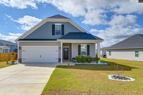Photo of 419 Dolomite Court, Chapin, SC 29036 (MLS # 620763)