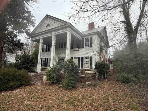 Photo of 1234 Calhoun Street, Newberry, SC 29108 (MLS # 626193)