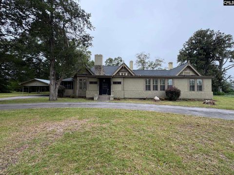 Photo of 329 W Railroad Avenue, Batesburg, SC 29006 (MLS # 620574)