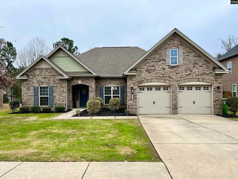 A home in Chapin