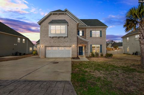 2051 Ludlow Place Chapin Sc 29036