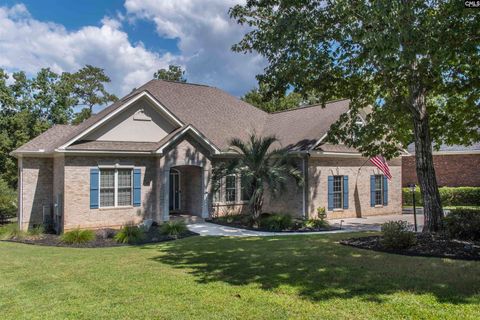 Photo of 313 Bent Oak Drive, Chapin, SC 29036 (MLS # 630766)