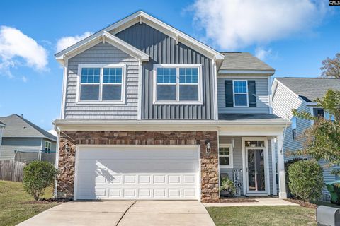 Photo of 613 Calypso Court, Chapin, SC 29036 (MLS # 620736)