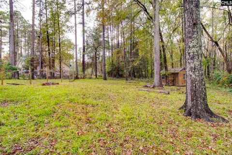 A home in Blythewood