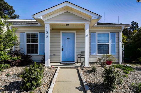Photo of 103 Linville Court, Lexington, SC 29073 (MLS # 630615)
