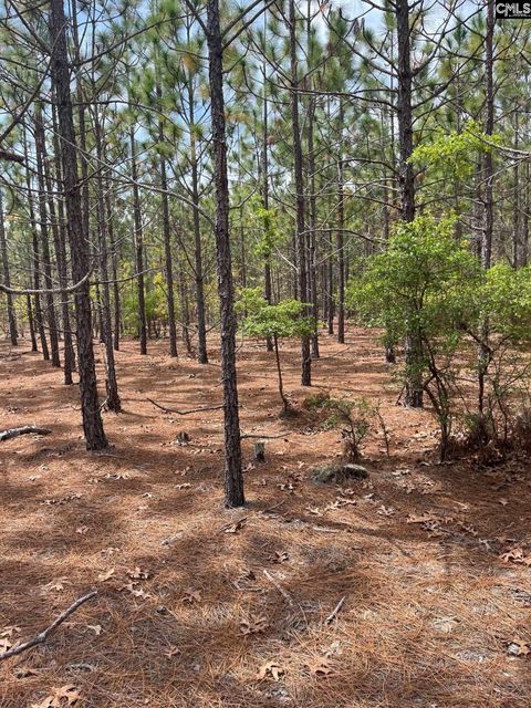 Bdf 8 Beaverdam Road Cassatt Sc 29032