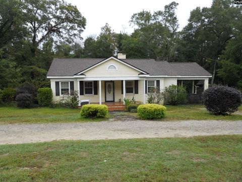 Photo of 4220 Mineral Springs Road, Lexington, SC 29073 (MLS # 620590)