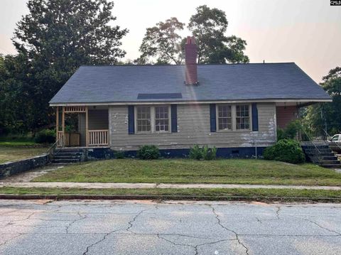 Photo of 250 Pine Street, Winnsboro, SC 29180 (MLS # 610043)