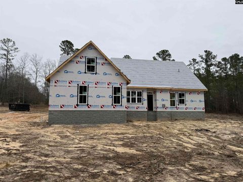 A home in Lugoff