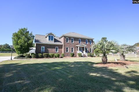 Photo of 225 Pisgah Court, Lexington, SC 29072 (MLS # 620913)