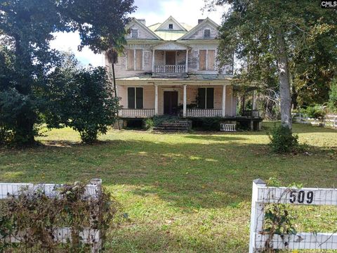 Photo of 509 S Congress St, Winnsboro, SC 29180 (MLS # 621176)